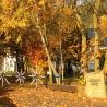 images/Bilder/Dorfansichten/IMG_2487.jpeg